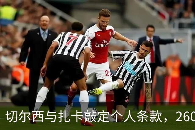 切尔西与扎卡敲定个人条款，2600万镑报价等待桑德兰放行